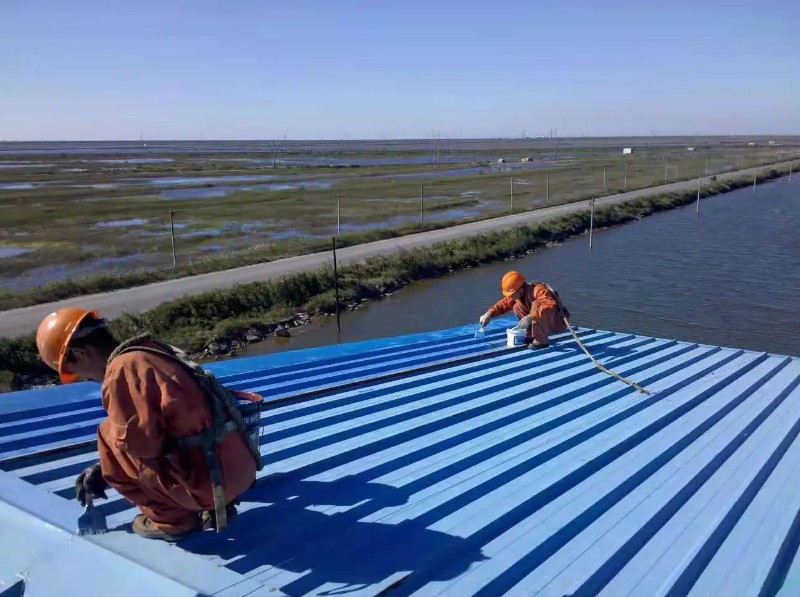 罗庄彩钢瓦屋面防腐翻新